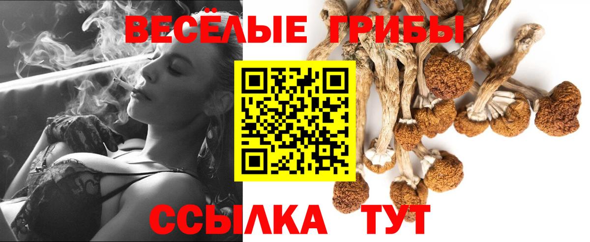 Галлюциногенные грибы GOLDEN TEACHER Скопин